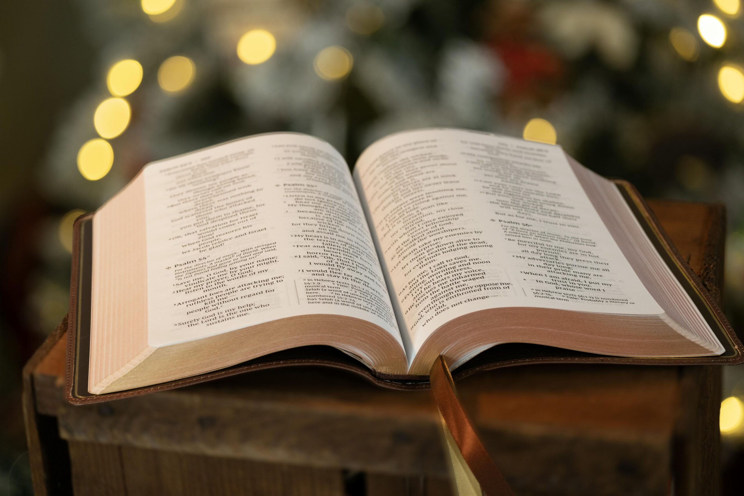 bibel, undervisning, nya korskyrkan